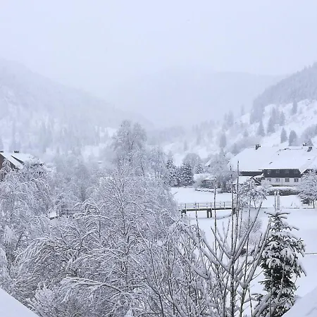 B5 Schwarzwald-fewo An Der Alb