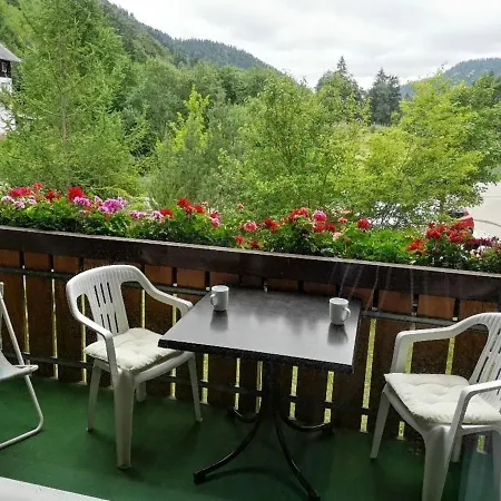 B5 Schwarzwald-fewo An Der Alb Menzenschwand-Hinterdorf