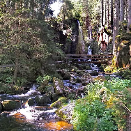 B5 Schwarzwald-fewo An Der Alb شقة Menzenschwand-Hinterdorf
