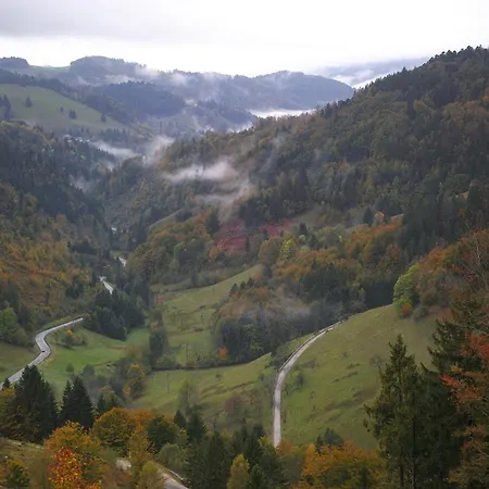 B5 Schwarzwald-fewo An Der Alb * Menzenschwand-Hinterdorf