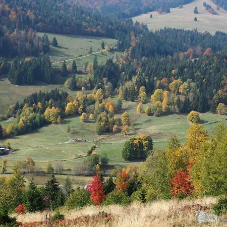 B5 Schwarzwald-fewo An Der Alb Menzenschwand-Hinterdorf